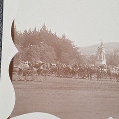 Pre 1900 Golden Gate Park San Francisco California Original Photograph Horse 7×9
