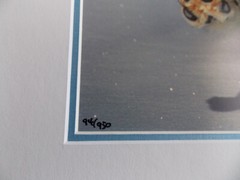 WOLF PHOTOGRAPH BY WARREN MAGILL LIMITED EDITION 20″ X 16″ # 2