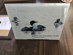 DODGEZEN MOMENTS IN TIME EDITION MY PHOTOGRAPHS PRINTED ON GLASS. INSPIRATIONAL
