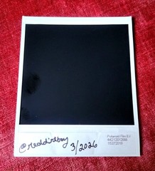 Lana Del Rey Polaroid White Feather Hawk Tail Deer Hunter Cd Vinyl Interest