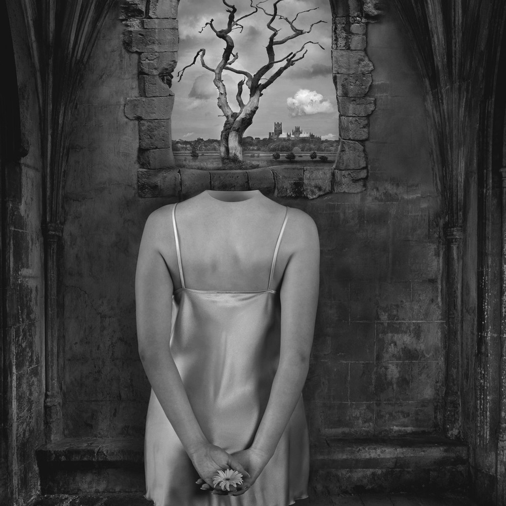 Fine Art B+W Photography Signed Ltd Edition SURREAL Tree of Knowledge in AD 2000