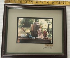 Art Gore Colorado Photographer Framed Artwork Strawberry Ice Cream Signed ‘73