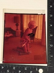 Bunny Yeager Estate Vintage Photo Negative Blonde Beauty Charlene Mathies