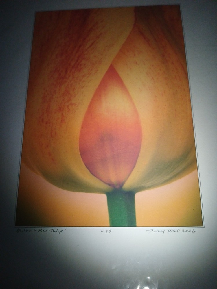 Fine Art Photography By Terry Wild