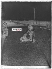 Woman, railway, dog, Glass photo plate, black & white negative 9×12 cm
