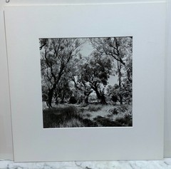 GERMAN PHOTOGRAPHER WILLY MAYWALD – SIGNED, TITLED & DATED GELATIN SILVER PRINT
