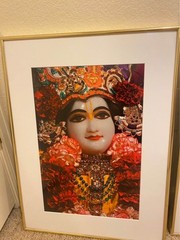 Non Reflective Picture Set of Radha-Krishna & Gaura-Nitai