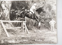 Vintage Film Photo France Equestrian Horse Show Jumping 18X24cm 1970