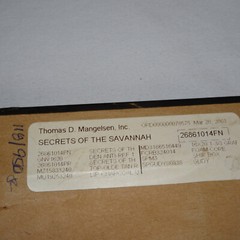 THOMAS MANGELSEN SIGNED 1994 SECRETS OF THE SAVANNAH LE 118/950 10X14 IMAGE FRM