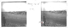 Calf Crève , Laval, Plate Glass Stereo, Tip Positive Antique Black & White