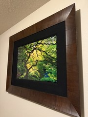 Peter Lik Inner Peace 794/950