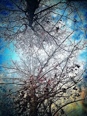 framed original artwork Photography