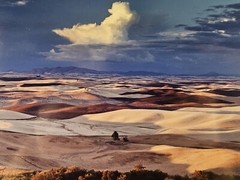 ART – Original Signed John Clement 35mm Photograph 16×13 Framed Modern Landscape
