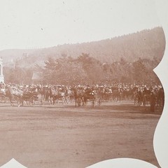 Pre 1900 Golden Gate Park San Francisco California Original Photograph Horse 7×9