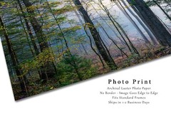 Photography Print of Forest on Foggy Morning in Great Smoky Mountains