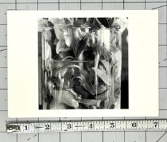 Lee Friedlander (b. 1934) Art Announcement Card February 2000 – Stems