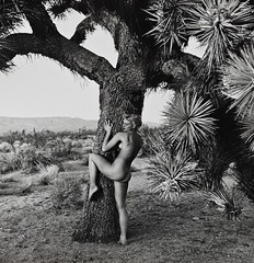 Andre De Dienes Nude Woman & Joshua Tree Photo Silver Gelatin Print 1960, COA