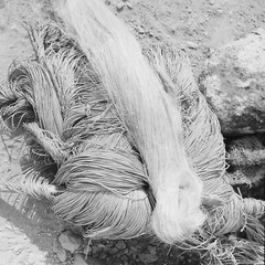 Photo Paper Analog Spain Fisher 1960 Size 40x40cm