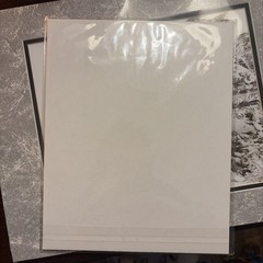 Beautiful Wolf Photograph In Plastic Hand Signed By The Artist