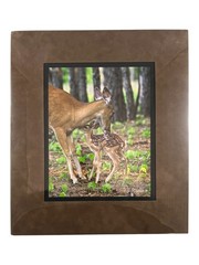 NEW Wildlife Photography Print: Stranger In The Woods ‘Mama Returns’ 8×10 Matted