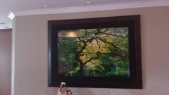 Peter Lik Inner Peace ARTIST PROOF ONLY 45 ever created PREM FRAMING SOLD OUT