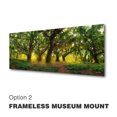 Original Limited Edition Acrylic Mounted Metallic Fine Art Photograph