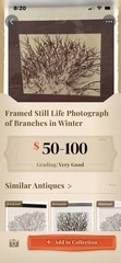 Framed Black & White Photograph ‘Snow Covered Branches’ 24×20 Landscape 1972