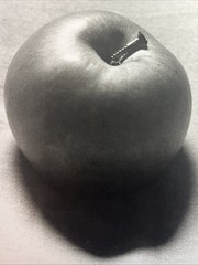 MAN RAY PHOTO B&W PRINT “CALLA LILIES, 1930” “Apple” Dada Abstract Art Genius