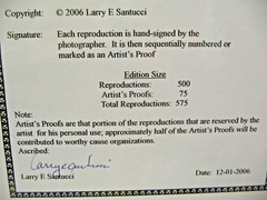 ART PHOTOGRAPHY 16×20 Cedar Key Reflection B&W Matte Acid Free by Larry Santucci