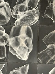 Unique Stitched Print – Cameraless Dark Room Photography 24 x 40 Inches
