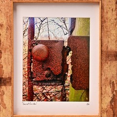 MICHAEL RAY Original Vintage Signed NY Secret Garden Landscape Photograph Print