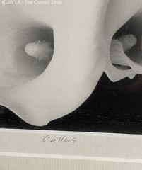 Callas By JC Evans 2002 Framed Signed Photograph