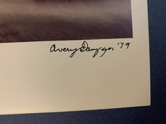 Rare 1979 Avery Danziger In The Gardens Of Babylon #27 Photography Art Print
