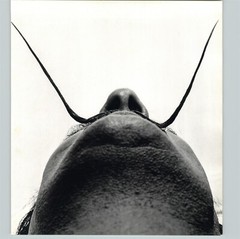 1972 1954 Philippe Halsman Abstract Salvador Dali Chin Portrait Photo Gravure