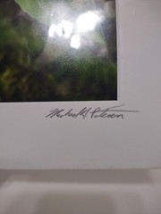 Signed Michael A Peterson Photography Wildflower Flat Mounted Canvas Gatorboard
