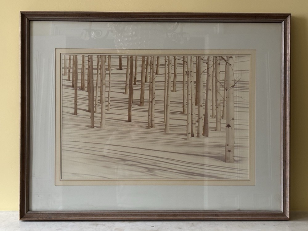 HUGE Signed Sepia Photograph 42″ x 32″ – Birch Trees in Snow by William Plante