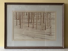 HUGE Signed Sepia Photograph 42″ x 32″ – Birch Trees in Snow by William Plante