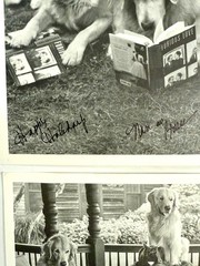 Pair of Bruce Weber Original SIGNED Cards with Provenance 2017 & 2010 Rare
