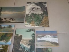 Vintage Hand Colorized PHOTO Tinted COLOR Landscapes Lot of 8