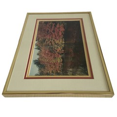 Art Photography Photo Autumn Picture Lake Matted Framed Fall Leaves