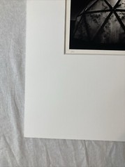 MICHAEL KENNA Signed GREENHOUSE Toned Gelatin Silver Print LIMITED EDITION 1979