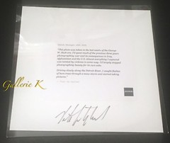 SIGNED! PETER VAN AGTMAEL DETROIT TREE IN SNOW 2017 MAGNUM 6×6 LTD ED PRINT NEW