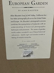 European Garden By Allan Blaustein Photography Framed With Glass 18 1/2 X 18 1/2