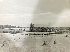 Arthur Gray Standard Oil Photographer Cleveland Ohio Americana Haystacks Monet!!