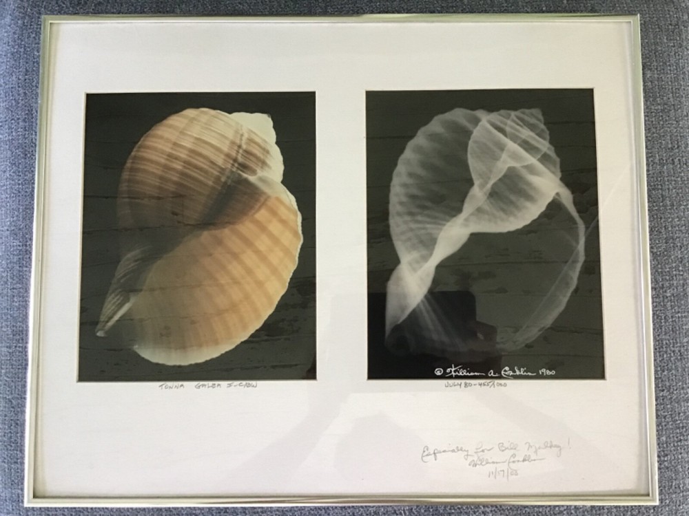 William Conklin Tonna Galea Seashell & X-Ray Photo Framed & Signed Lot 2