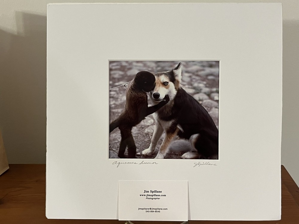 Jim Spillane Photography ‘Aquaeous Humor’ Dog & Monkey Matted & Signed