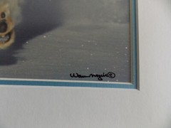 WOLF PHOTOGRAPH BY WARREN MAGILL LIMITED EDITION 20″ X 16″ # 2