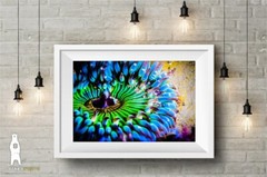 Sea Anemone – Colorful Underwater Photography Prints / Wall Art