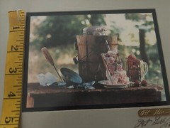 Art Gore Colorado Photographer Framed Artwork Strawberry Ice Cream Signed ‘73