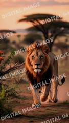 Digital Art Picture Image Photo Wallpaper Background Desktop AI – Lion Savannah
